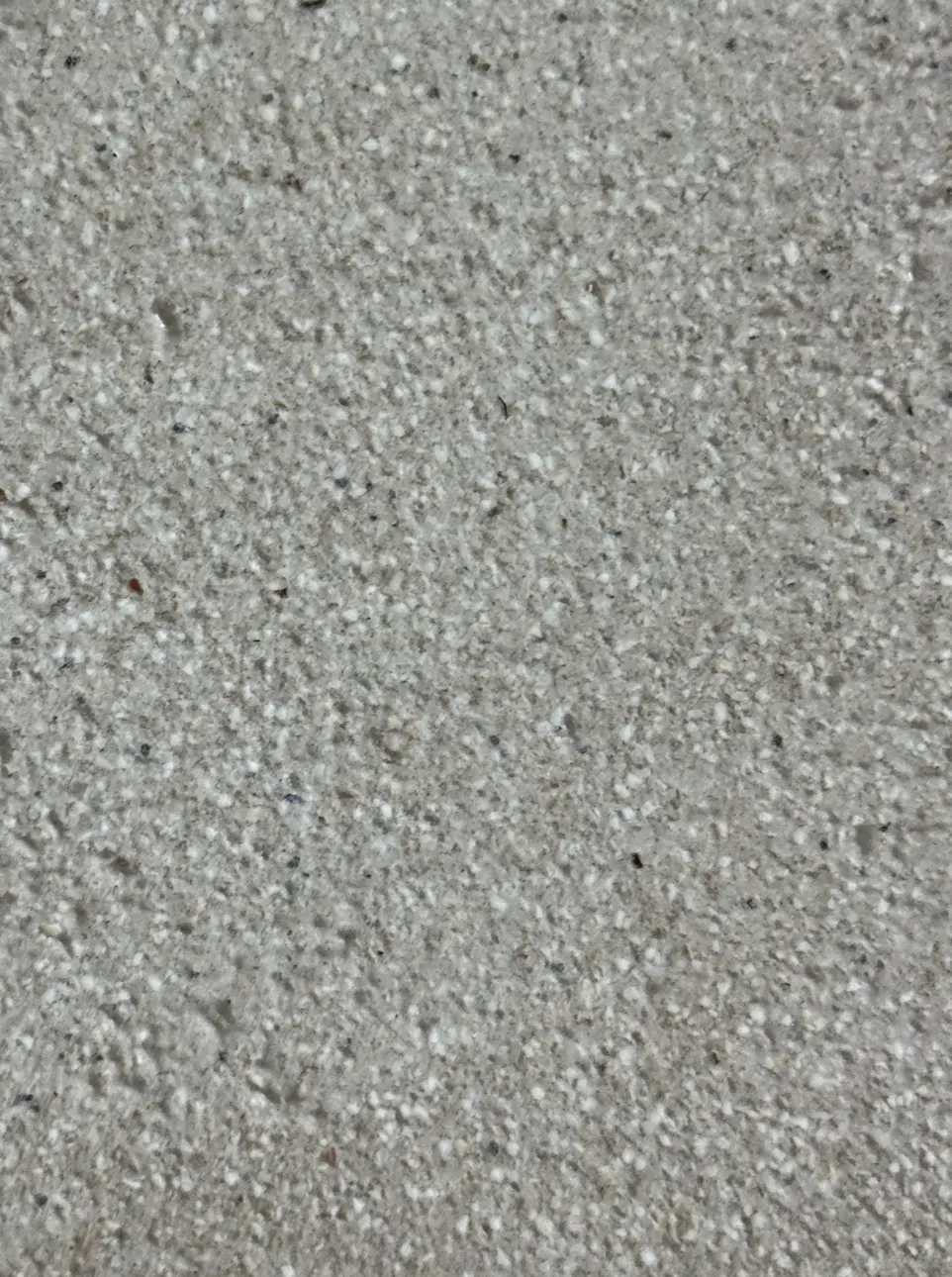 Sandura - Nutmeg int. 1